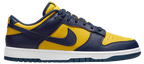 SB Dunk Michigan