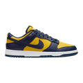 SB Dunk Michigan