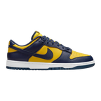 SB Dunk Michigan